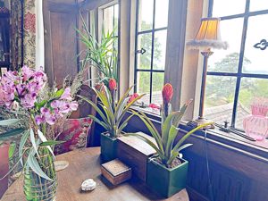 Lounge- click for photo gallery